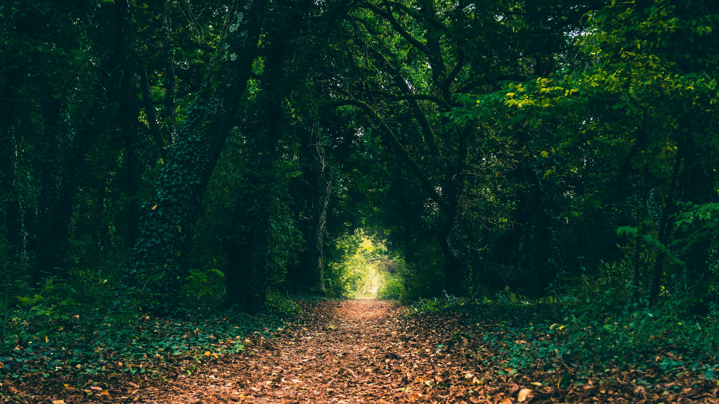 Photo de Murielle MARLOT